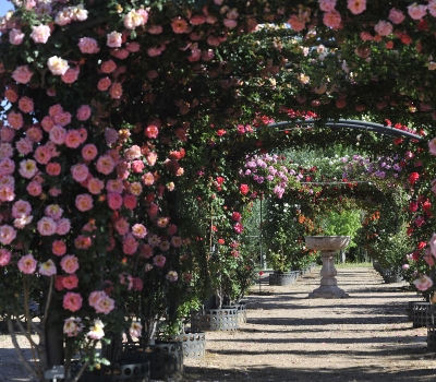 Real Jardín Botánico Juan Carlos I